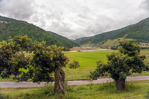 Arunachal Pradesh 10